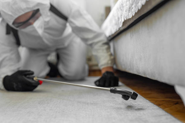 Professional Cockroach Control technician working in Morganville, NJ